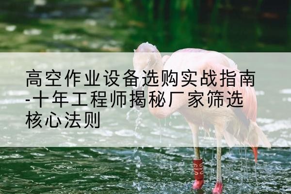 乐陵剪叉式升降机厂家-高空作业设备选购实战指南-十年工程师揭秘厂家筛选核心法则