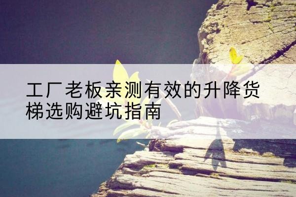乐陵升降货梯怎么选-工厂老板亲测有效的升降货梯选购避坑指南