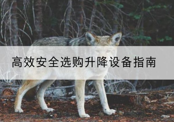 乐陵升降货梯厂家推荐-*安全选购升降设备指南