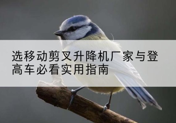 乐陵电动升降机厂家-选移动剪叉升降机厂家与登高车必看实用指南