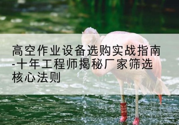 乐陵剪叉式升降机厂家-高空作业设备选购实战指南-十年工程师揭秘厂家筛选核心法则